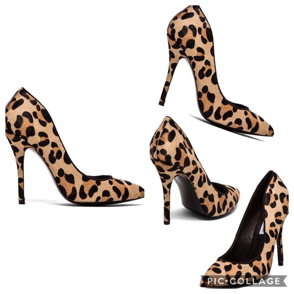 cheetah print shoes steve madden